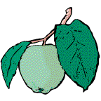 The Floating apple (it's my logo)