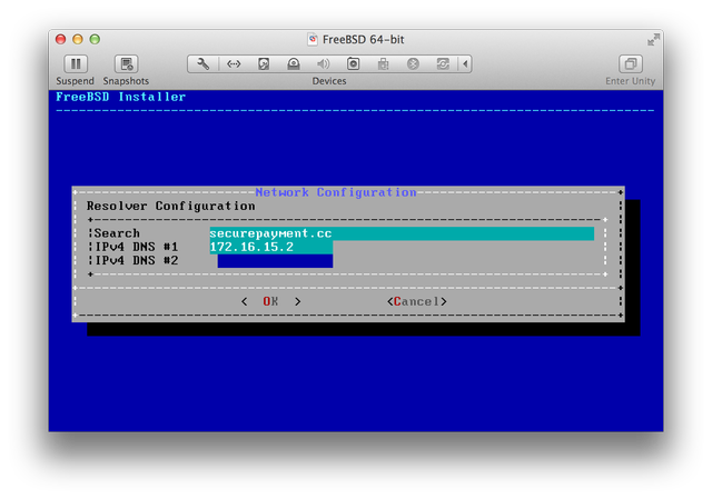 FreeBSD installer DNS resolver