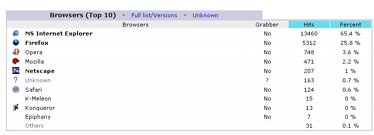 November 2007 Browser Market Share